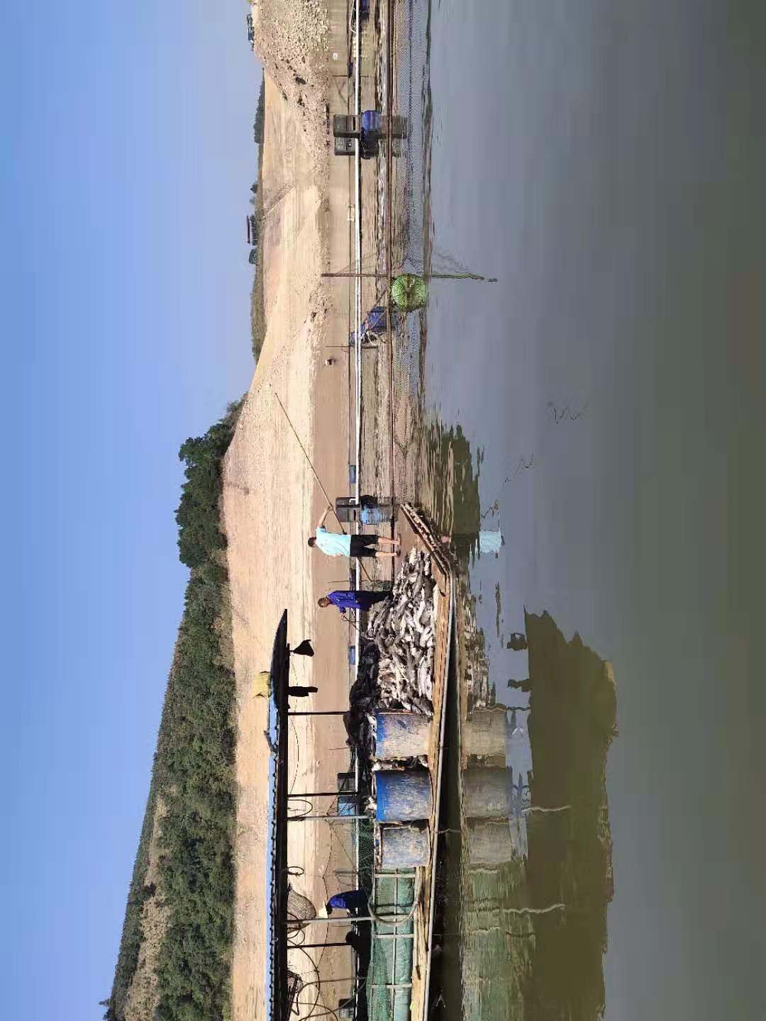峻山水库水资源污染758 / 作者:你莫管 / 帖子ID:269377