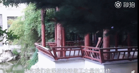 中国再获金奖！从摆摊小贩，到“蛋糕界奥斯卡”获得者，他用中国技艺惊艳了全世界！932 / 作者:登山涉水 / 帖子ID:269428