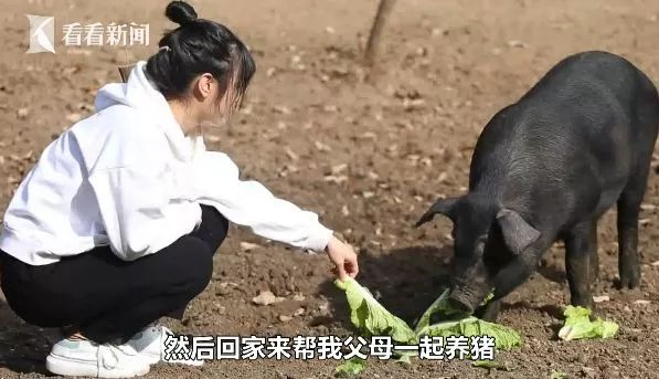 95后美女大学生专注养猪被催婚，亲爹急了：陪嫁300头猪！701 / 作者:登山涉水 / 帖子ID:269590