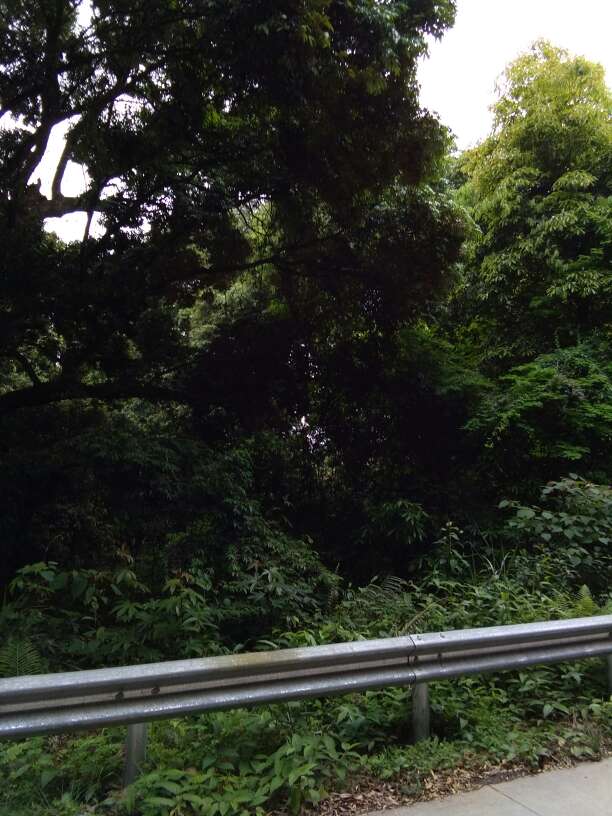 生态环保深入人心，成绩斐然全靠历代传承549 / 作者:瑤人老李 / 帖子ID:269668