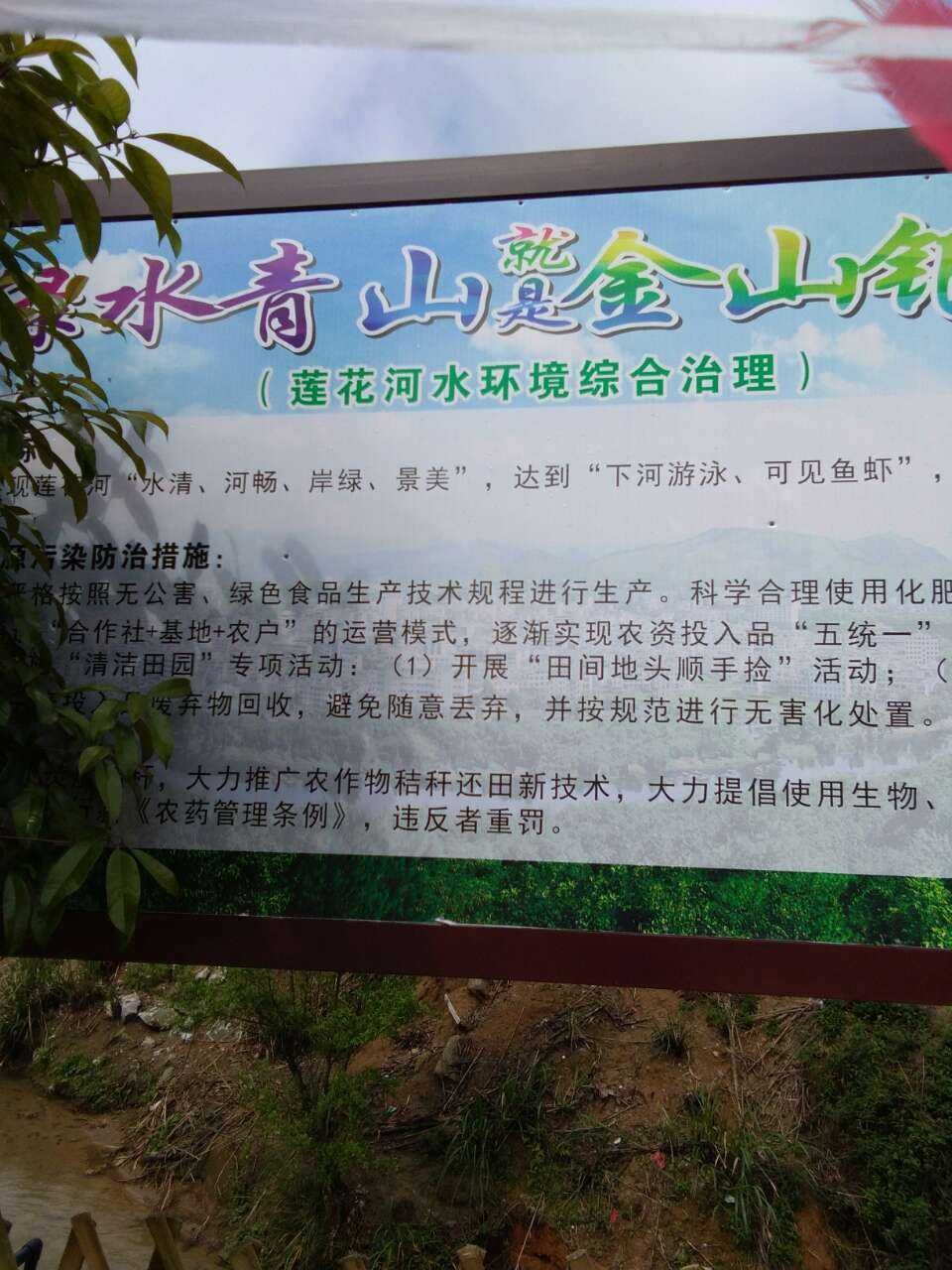 “主官”任河长，莲花河扎实推进水质达标还原生态工作180 / 作者:瑤人老李 / 帖子ID:269726