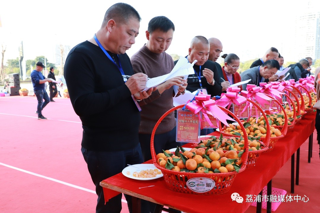 厉害了！桂林砂糖桔拍出11800元天价！再现致富神话？943 / 作者:你的名字我的心 / 帖子ID:269745