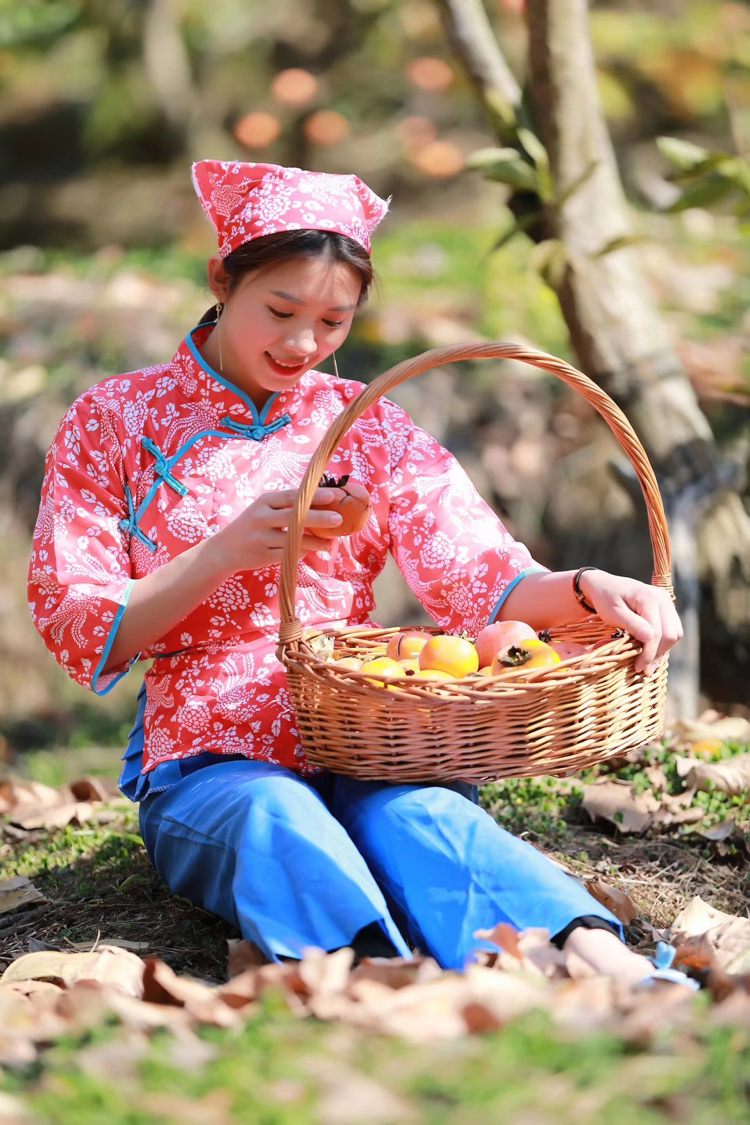 月柿红了，我在恭城瑶乡等您。376 / 作者:big88 / 帖子ID:269761