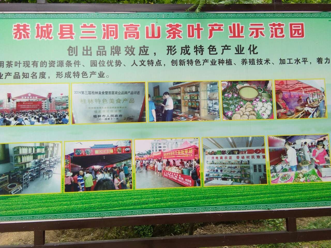 《原创》高山茶，瑶山开启另类经济增长模式921 / 作者:瑤人老李 / 帖子ID:269776