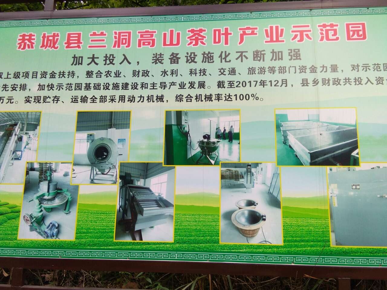 《原创》高山茶，瑶山开启另类经济增长模式750 / 作者:瑤人老李 / 帖子ID:269776