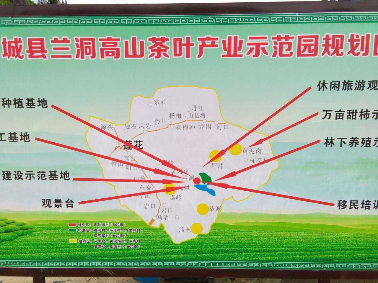 《原创》高山茶，瑶山开启另类经济增长模式283 / 作者:瑤人老李 / 帖子ID:269776