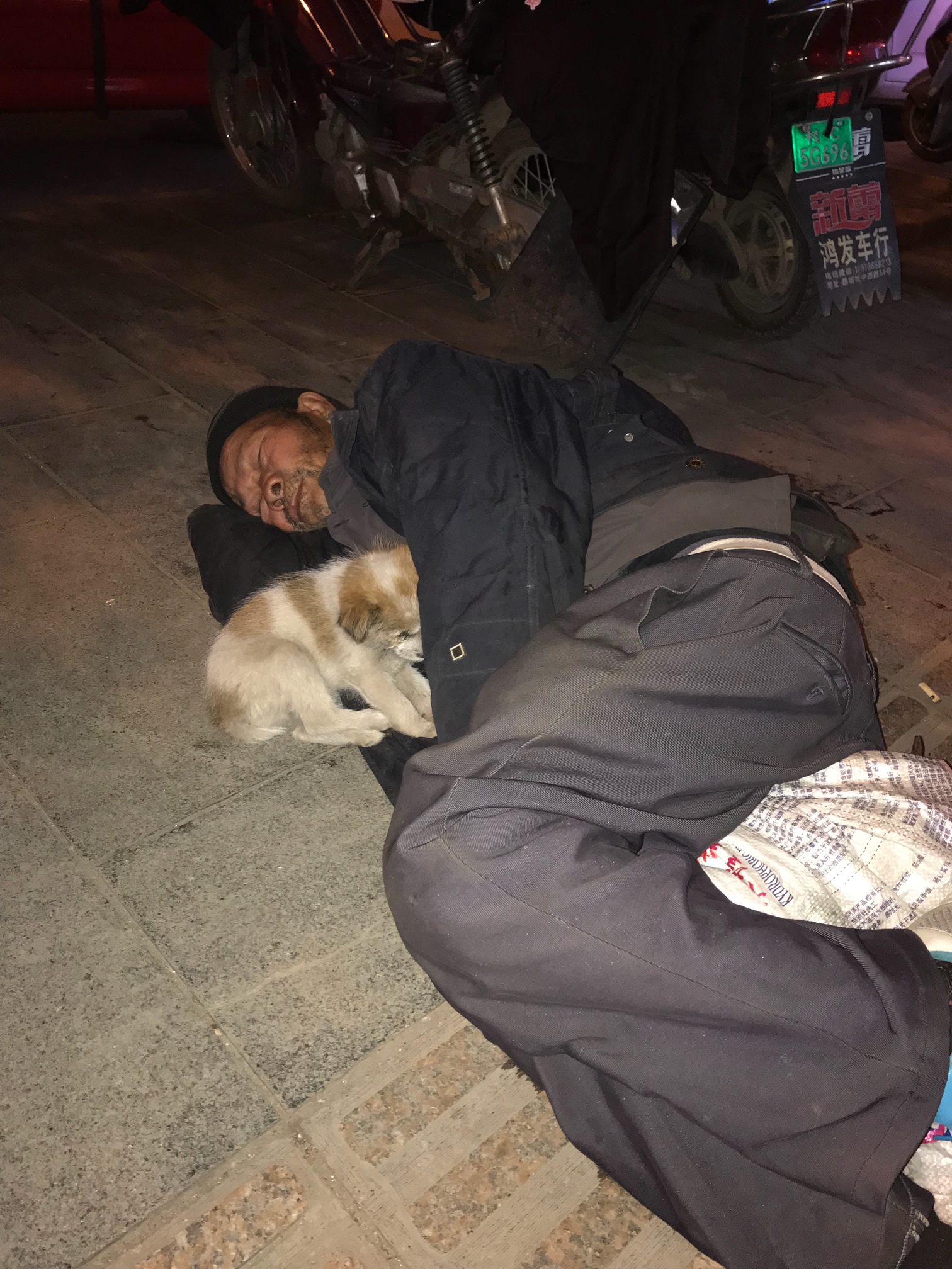 恭城街头：可怜的流浪汉和不离不弃的狗635 / 作者:6801 / 帖子ID:269887