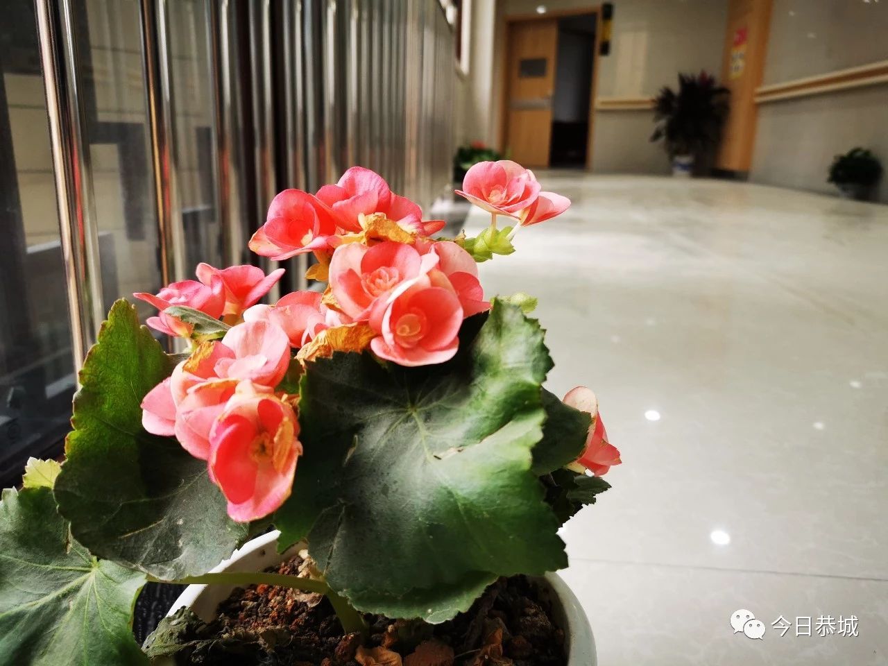 恭城瑶医医院正式在这里接诊919 / 作者:登山涉水 / 帖子ID:269974