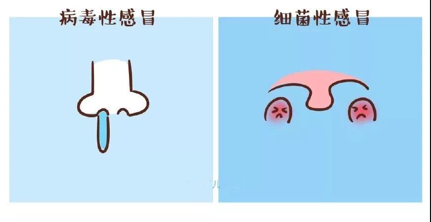 如何区分小朋友患的是病毒性感冒？还是细菌性感冒？869 / 作者:分叉路口 / 帖子ID:270033