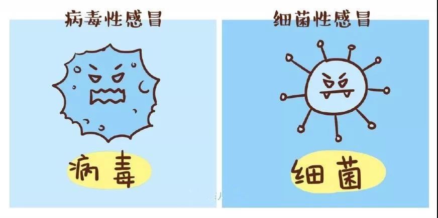 如何区分小朋友患的是病毒性感冒？还是细菌性感冒？107 / 作者:分叉路口 / 帖子ID:270033