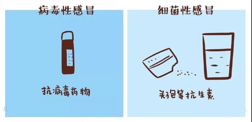 如何区分小朋友患的是病毒性感冒？还是细菌性感冒？121 / 作者:分叉路口 / 帖子ID:270033