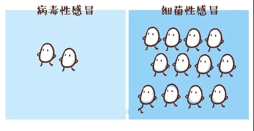如何区分小朋友患的是病毒性感冒？还是细菌性感冒？806 / 作者:分叉路口 / 帖子ID:270033