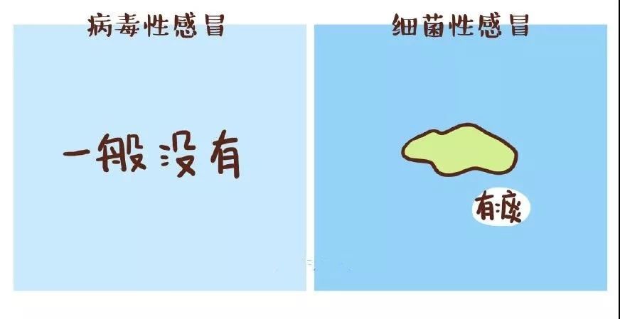 如何区分小朋友患的是病毒性感冒？还是细菌性感冒？390 / 作者:分叉路口 / 帖子ID:270033