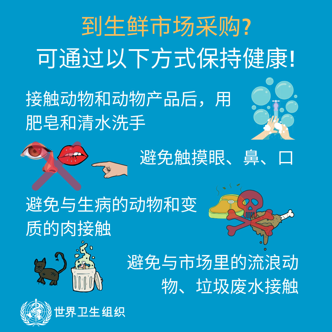来自世卫组织：这份冠状病毒防护手册请收好！678 / 作者:东门头人 / 帖子ID:270274