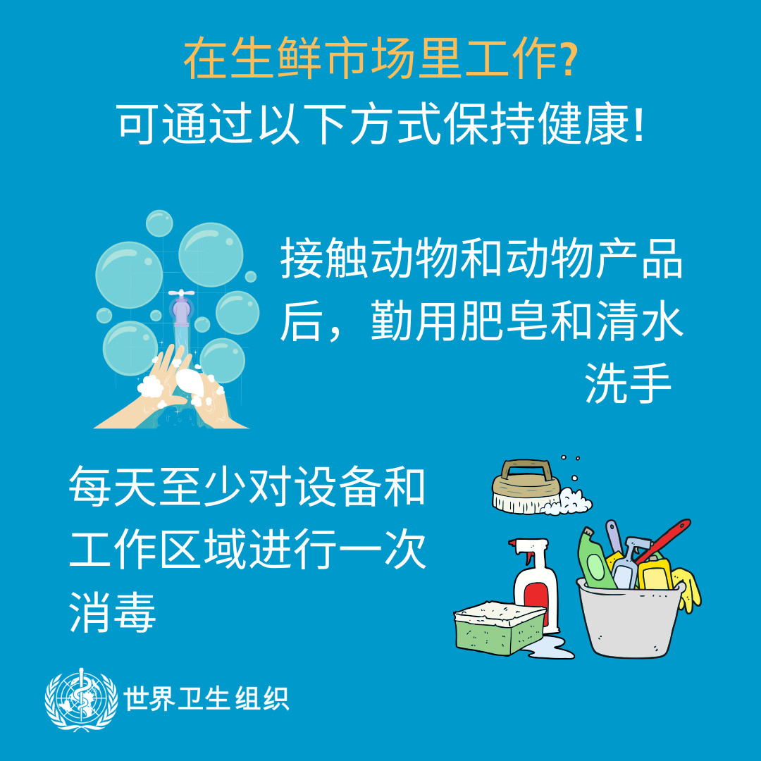 来自世卫组织：这份冠状病毒防护手册请收好！722 / 作者:东门头人 / 帖子ID:270274