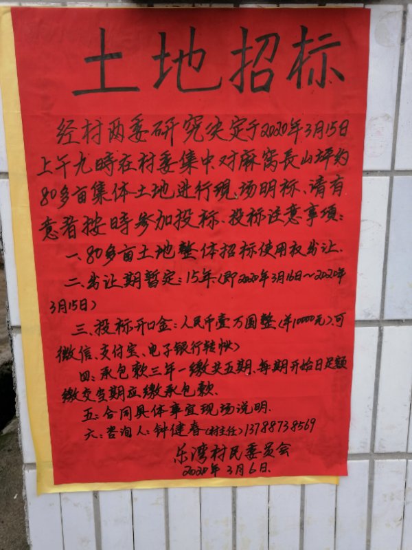乐湾村土地招标公告562 / 作者:论坛小编01 / 帖子ID:270815