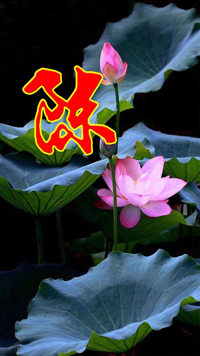 姓氏头像，是否有你，无奈，系统限于九张155 / 作者:梦里探花 / 帖子ID:270825