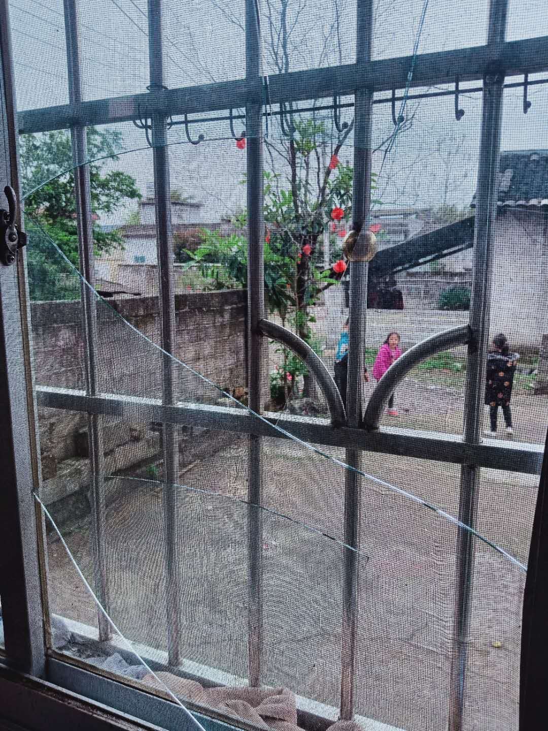 危险地带生活的栗木人604 / 作者:心之所向便是光 / 帖子ID:270889