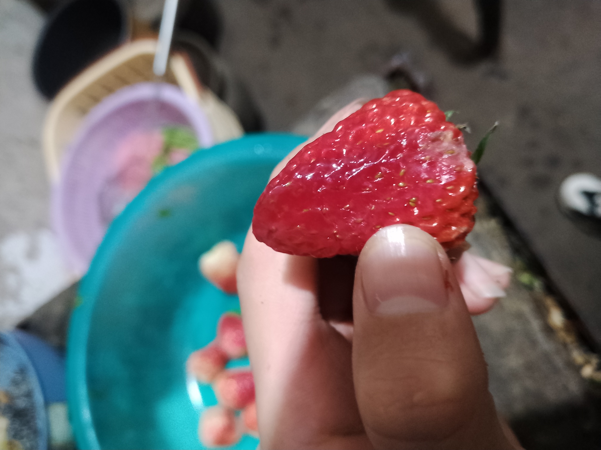 草莓坏掉的样子图片