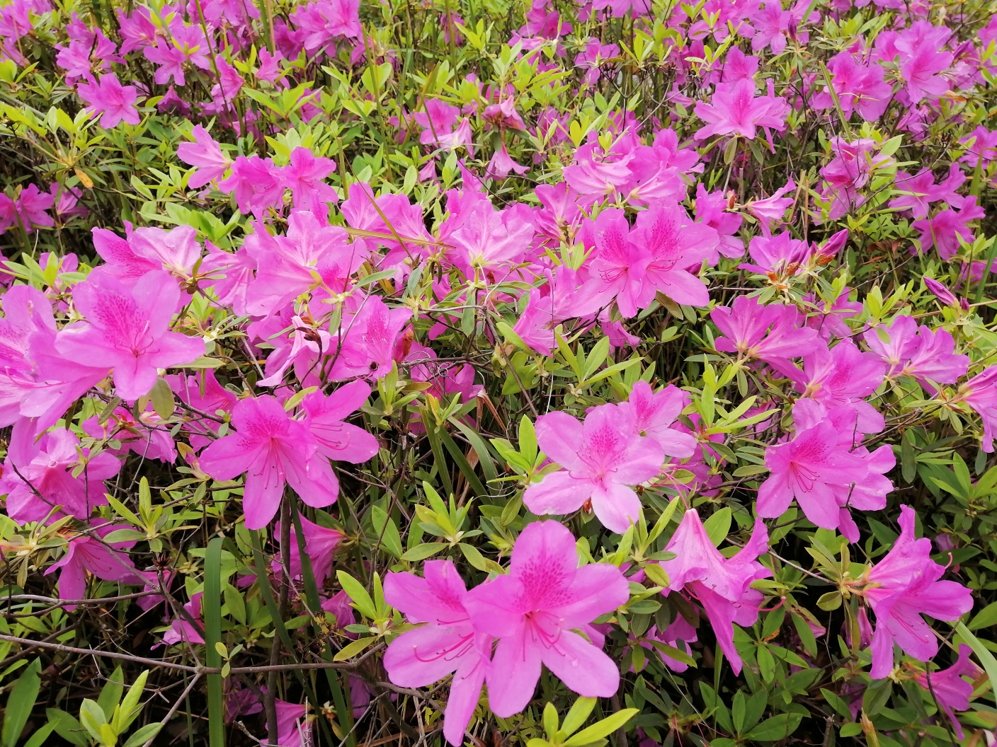 花样宜居城。458 / 作者:悠闲 / 帖子ID:270956