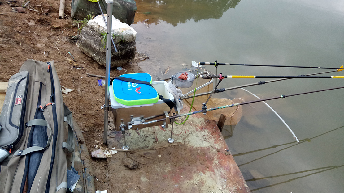 2020.3.21钓鱼日记807 / 作者:MDG / 帖子ID:270963