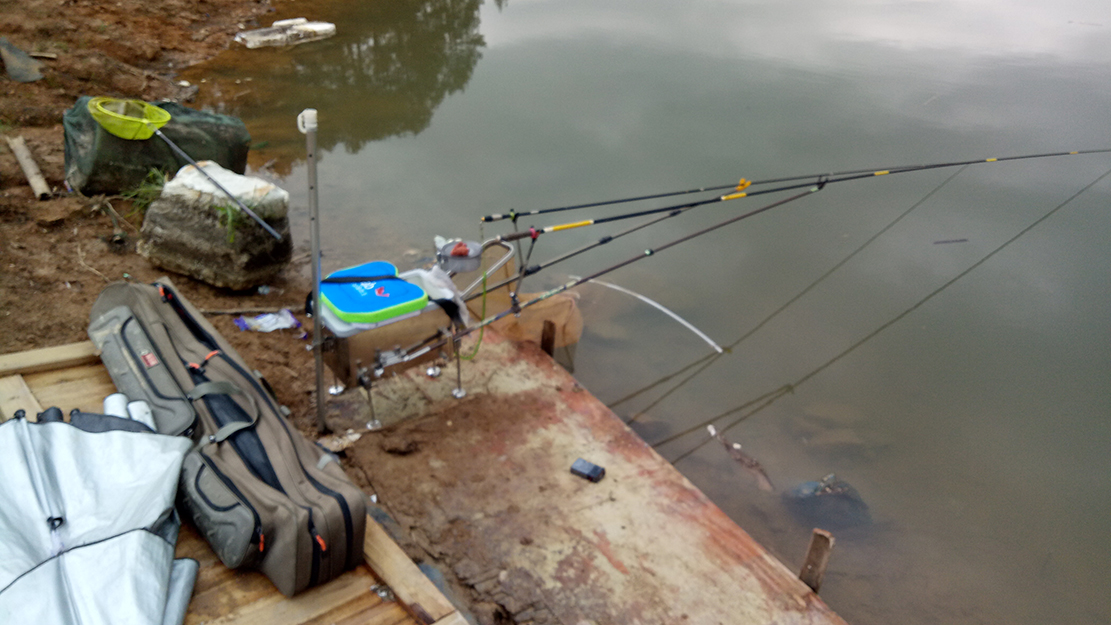 2020.3.21钓鱼日记381 / 作者:MDG / 帖子ID:270963