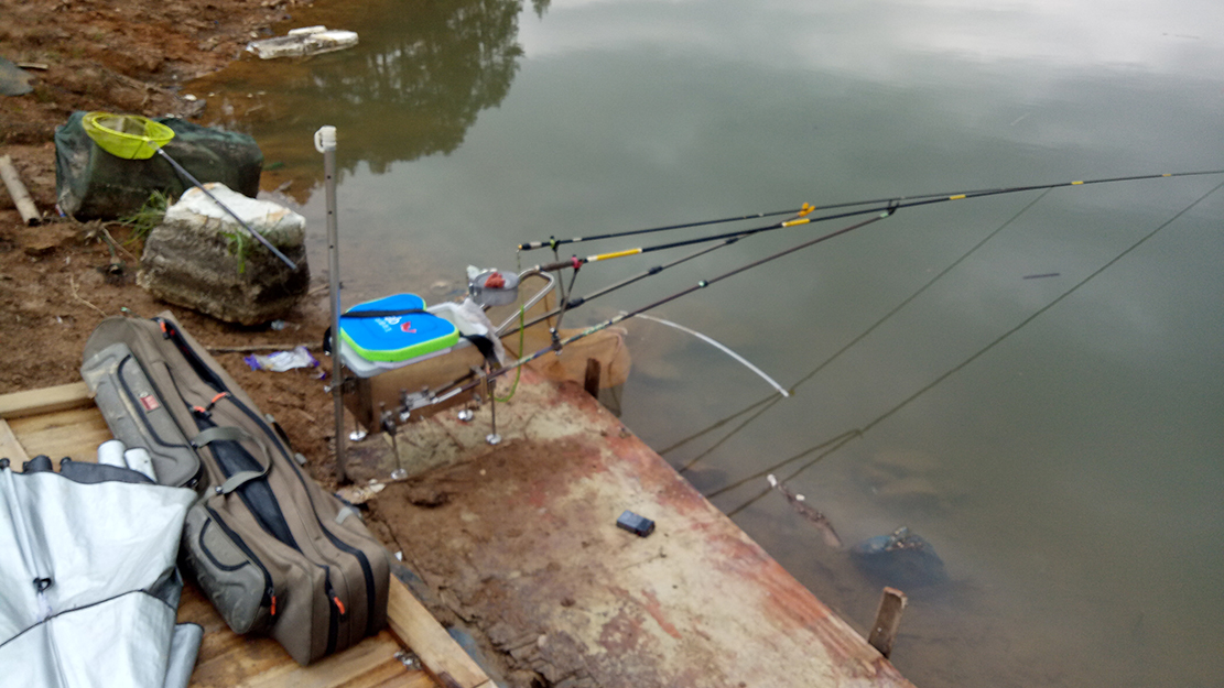 2020.3.21钓鱼日记903 / 作者:MDG / 帖子ID:270963