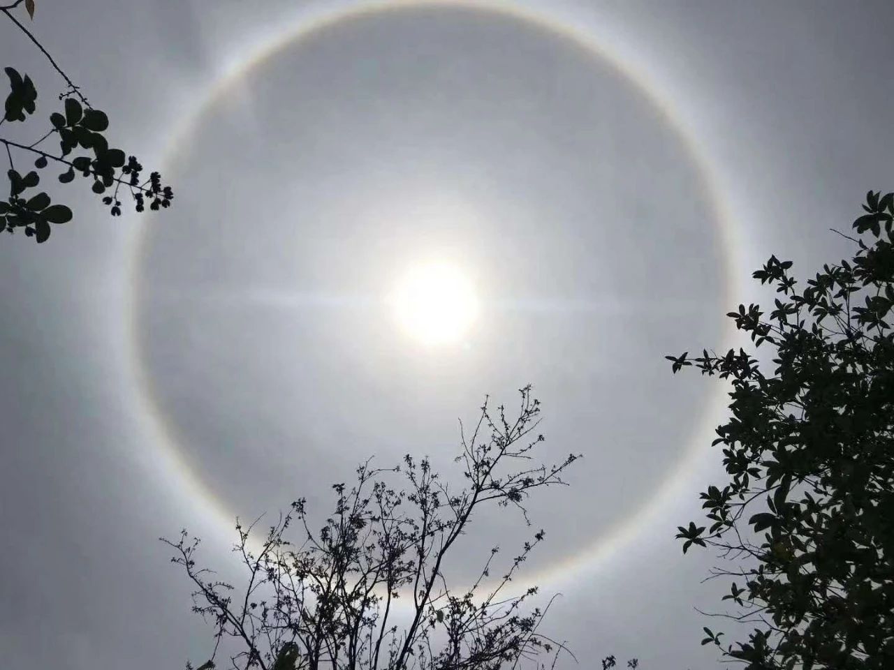 今天，桂林天空出现罕见奇观！朋友圈已炸锅，你看到了吗？665 / 作者:登山涉水 / 帖子ID:271356