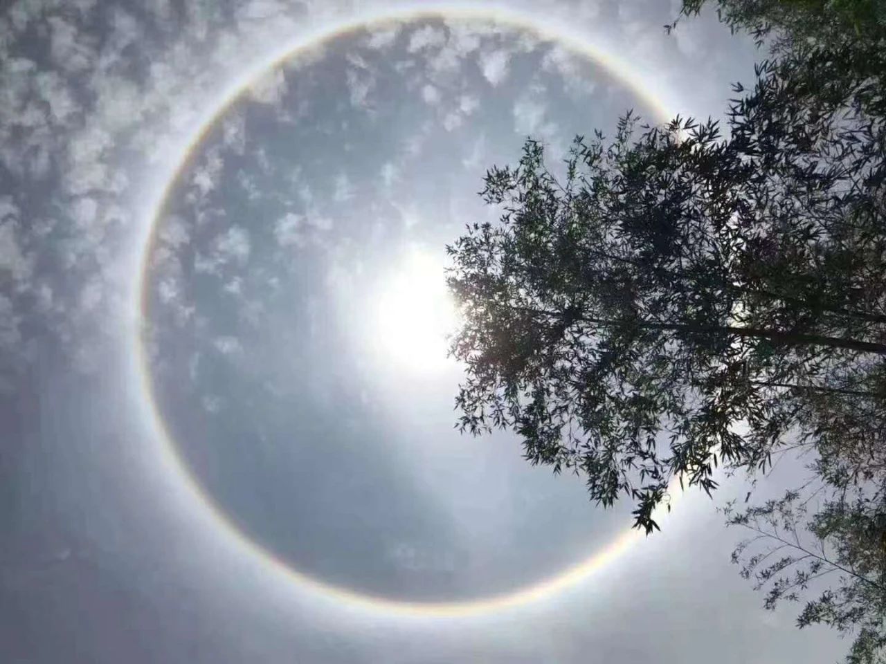 今天，桂林天空出现罕见奇观！朋友圈已炸锅，你看到了吗？129 / 作者:登山涉水 / 帖子ID:271356