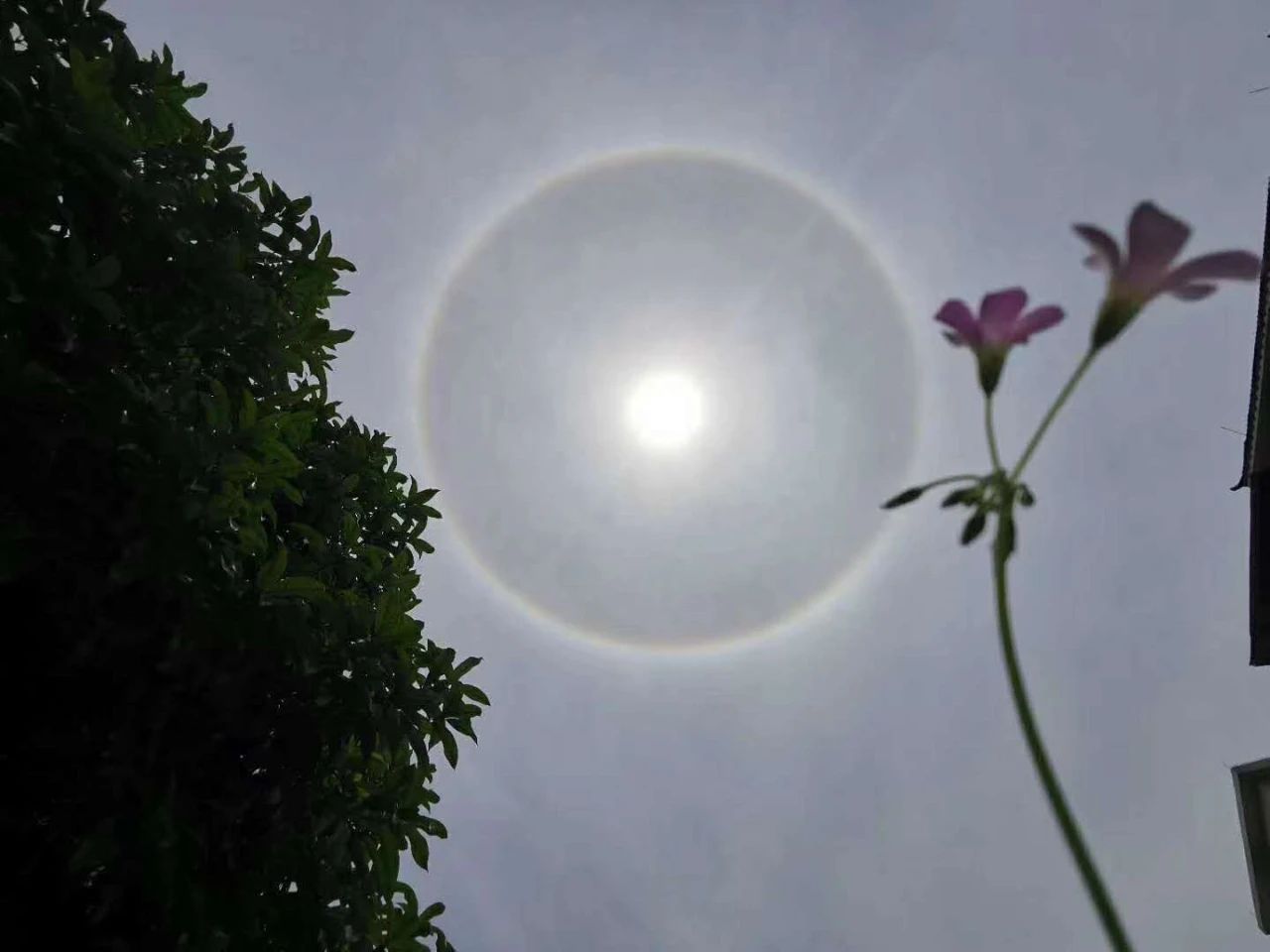 今天，桂林天空出现罕见奇观！朋友圈已炸锅，你看到了吗？638 / 作者:登山涉水 / 帖子ID:271356
