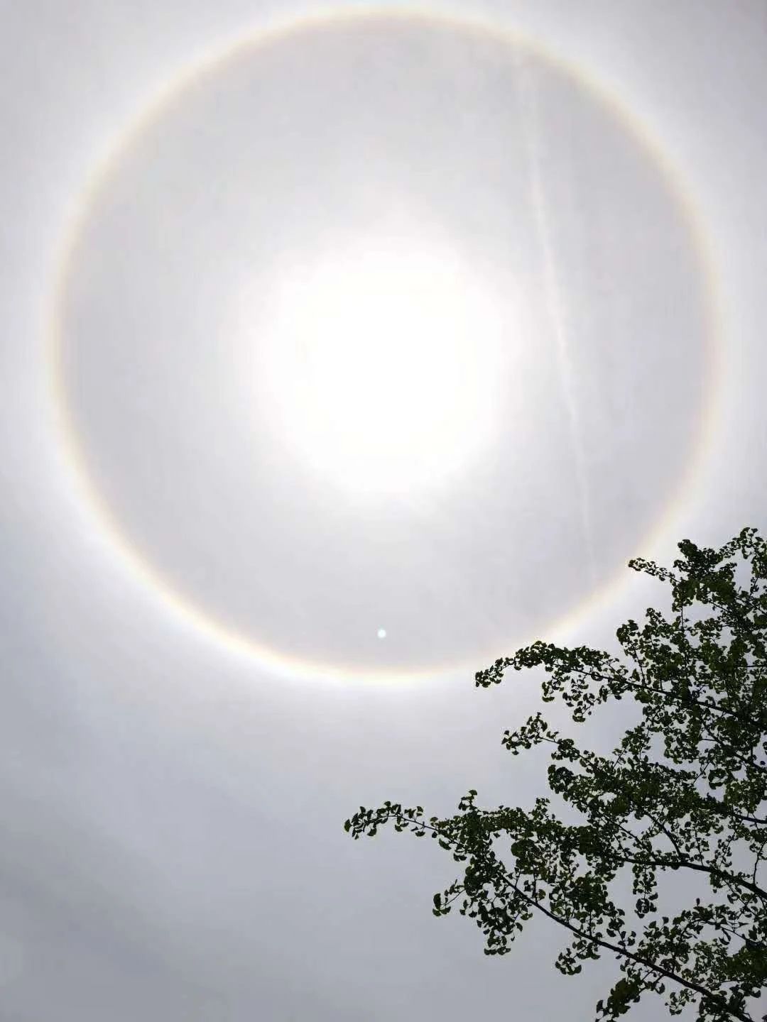 今天，桂林天空出现罕见奇观！朋友圈已炸锅，你看到了吗？248 / 作者:登山涉水 / 帖子ID:271356