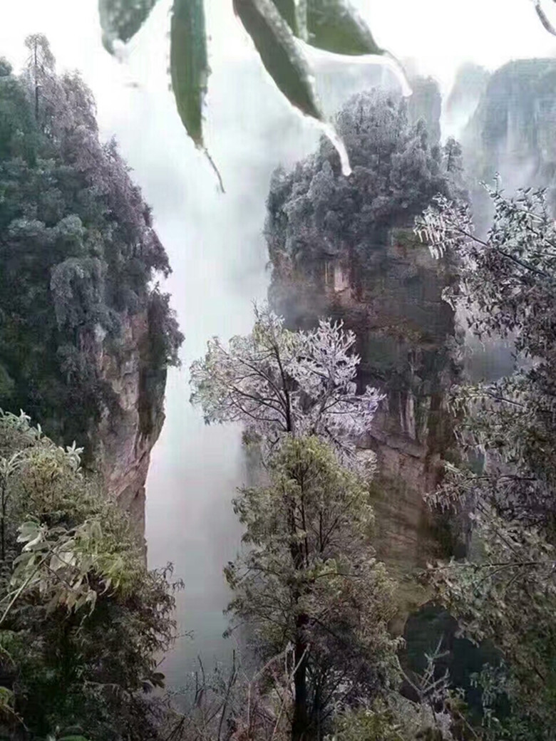 第一次去张家界必看的旅游攻略711 / 作者:枕上雪 / 帖子ID:268974