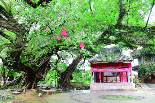 榕津古镇：桂剧文化与海洋文化交融的千年古镇782 / 作者:Killua / 帖子ID:271410