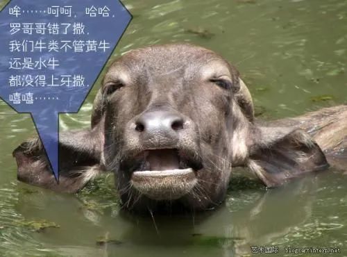 有哪些非常非常非常奇怪的冷知识？915 / 作者:登山涉水 / 帖子ID:271430