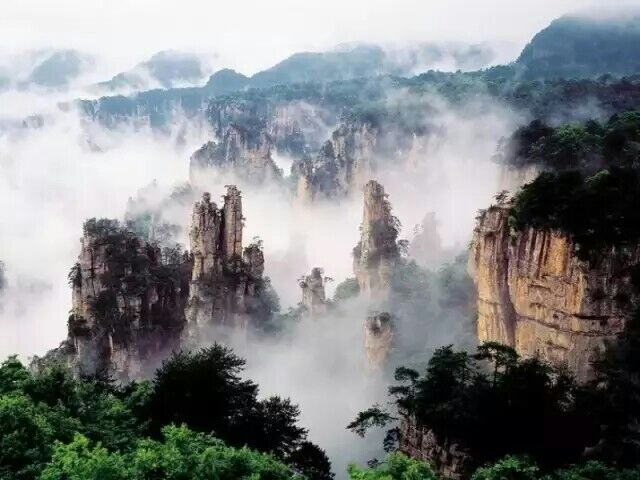 第一次去张家界必看的旅游攻略963 / 作者:天天客栈 / 帖子ID:268974