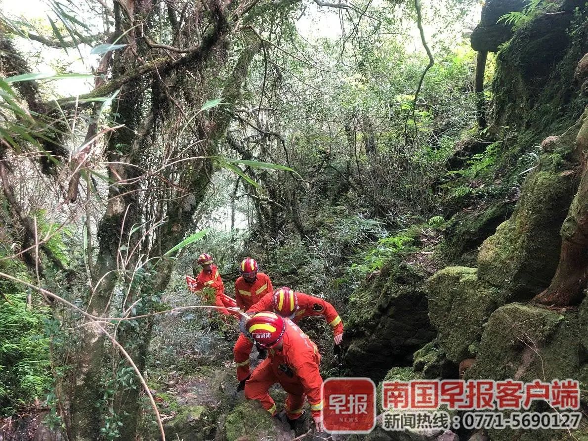 罚！19名驴友擅闯广西大瑶山，1人一度处于昏迷状态，200多人展开营救892 / 作者:呆桃 / 帖子ID:271827