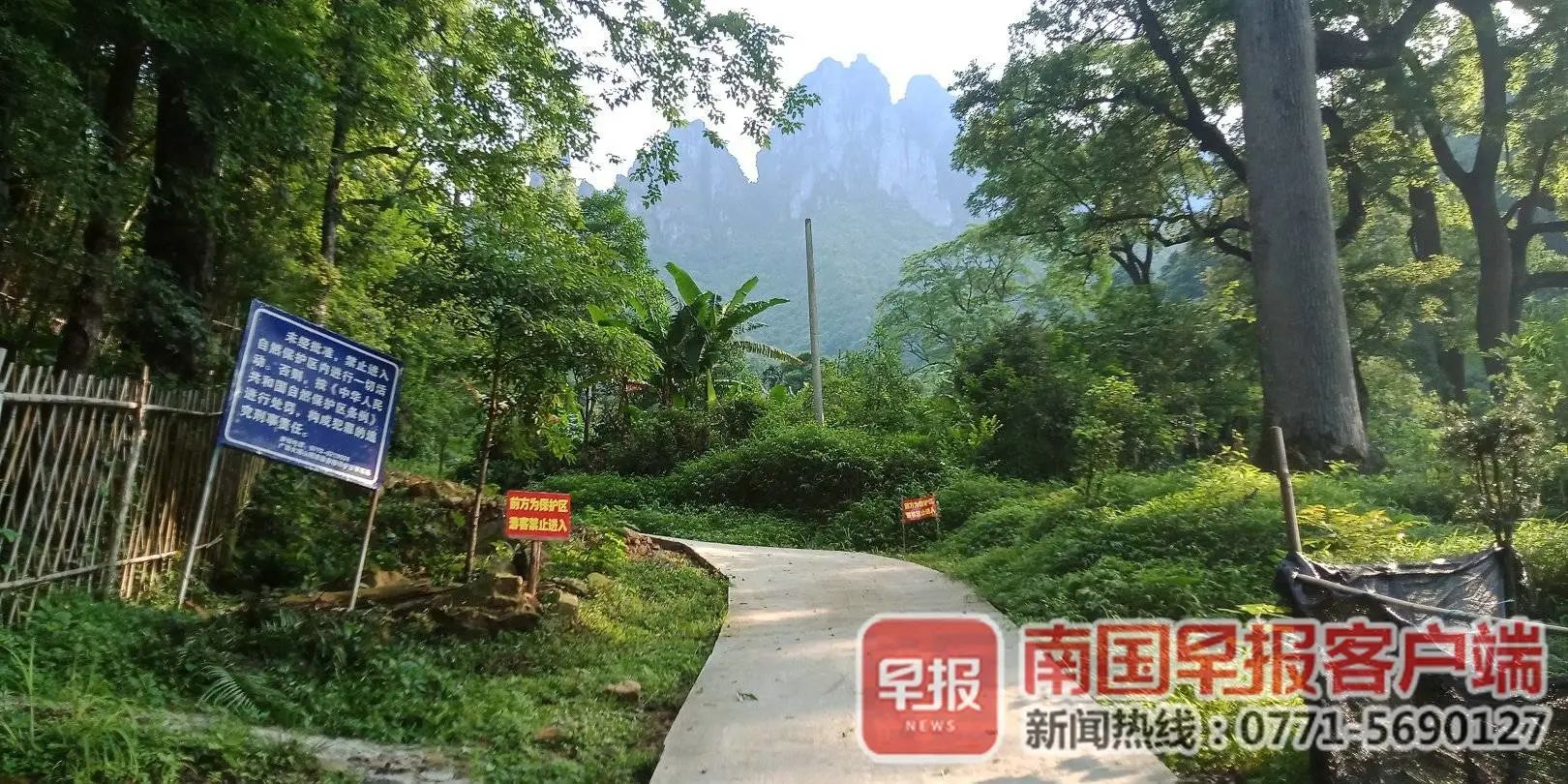 罚！19名驴友擅闯广西大瑶山，1人一度处于昏迷状态，200多人展开营救641 / 作者:呆桃 / 帖子ID:271827