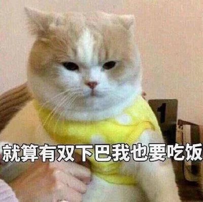 夏天吃这个，可以吃三大碗！！！395 / 作者:呆桃 / 帖子ID:271876