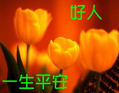 桂林一男子下水成功救人后，因体力不支，被水冲走，至今下落不明194 / 作者:平安大叔 / 帖子ID:271971