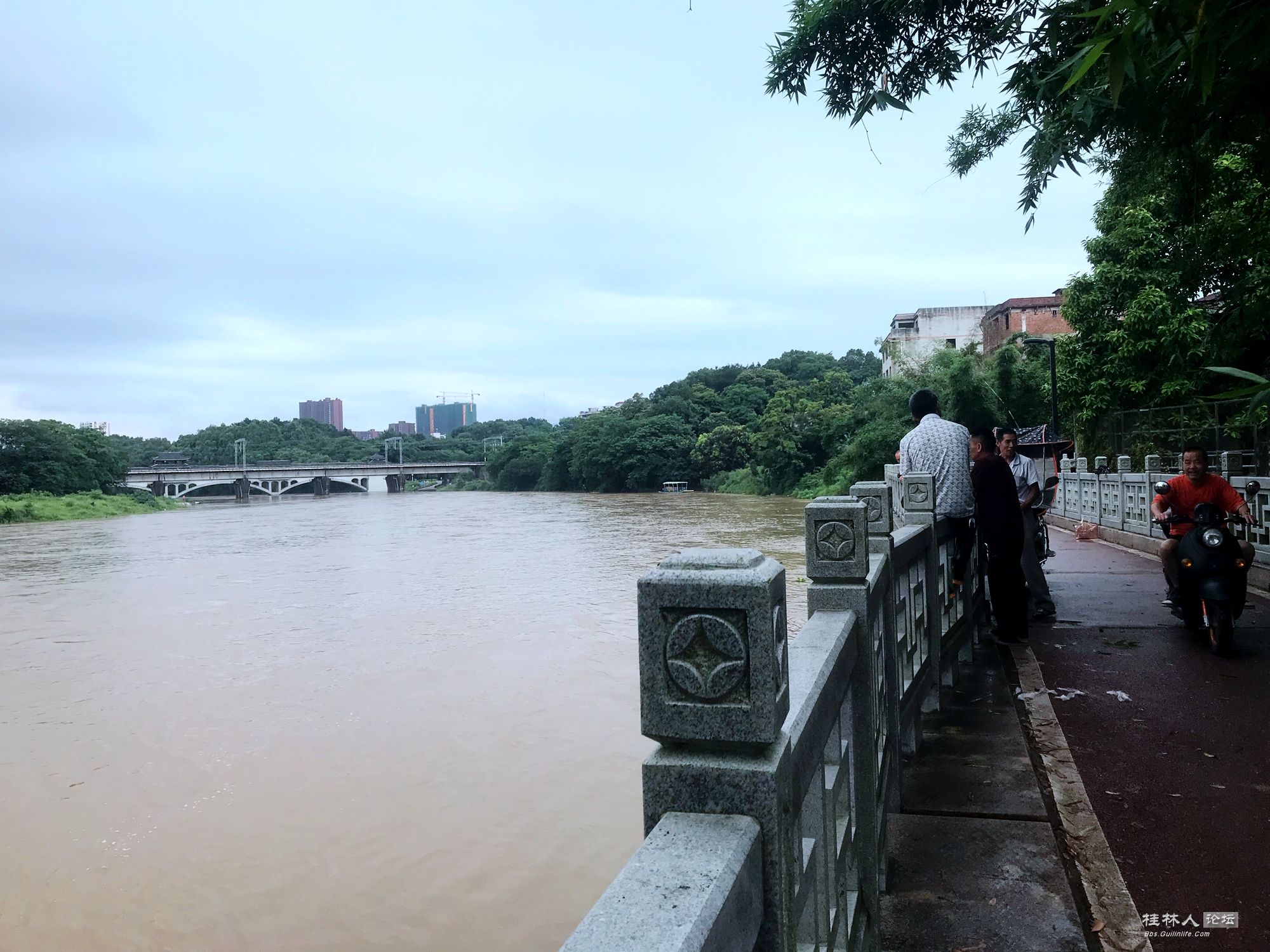 洪水初涨，人各有乐247 / 作者:麻辣鸡翅 / 帖子ID:272178