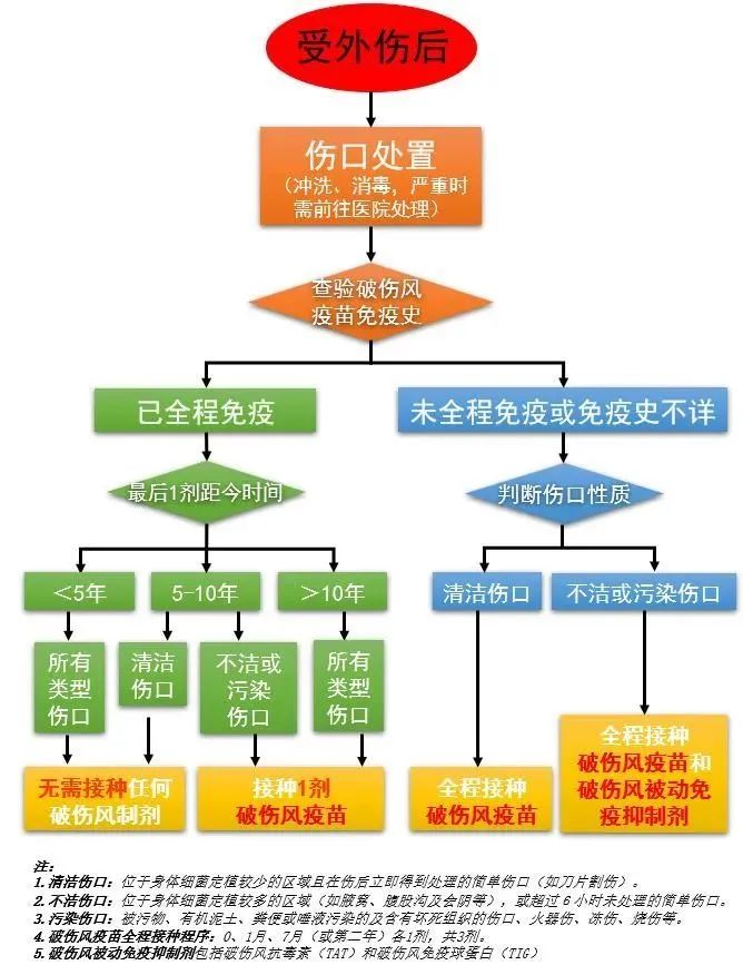 成年人可以接种哪些疫苗？198 / 作者:一条龙 / 帖子ID:272183