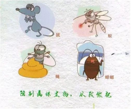 注意丨多地遭遇暴雨，一定要谨防伤寒、疟疾等传染病！847 / 作者:一条龙 / 帖子ID:272292