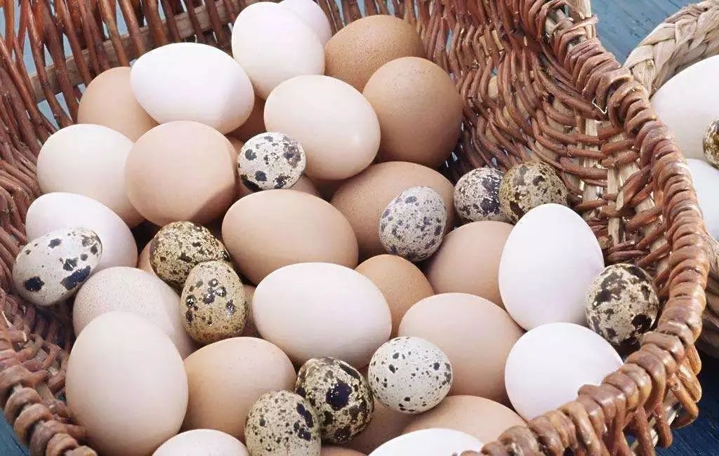 鸡蛋、鸭蛋、鹅蛋、鹌鹑蛋，营养差别这么大，不知道亏大了！263 / 作者:YKJNzVqH / 帖子ID:272307