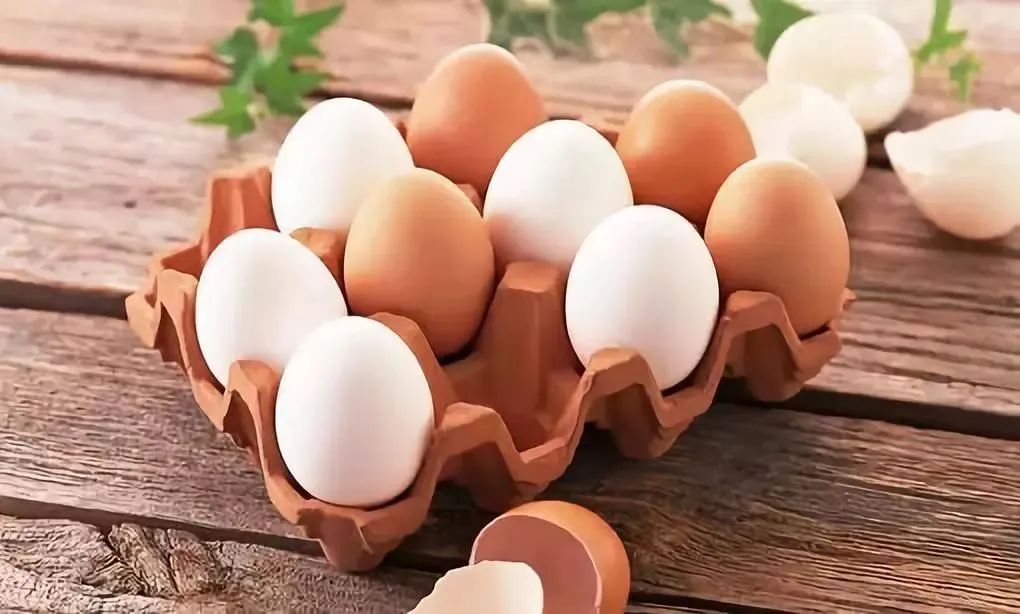 鸡蛋、鸭蛋、鹅蛋、鹌鹑蛋，营养差别这么大，不知道亏大了！421 / 作者:YKJNzVqH / 帖子ID:272307