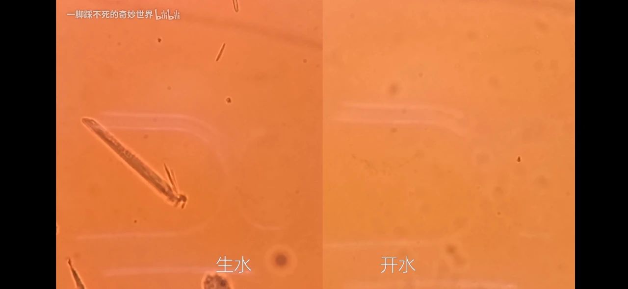 为什么中国人热衷于喝热水呢？因为……338 / 作者:呆桃 / 帖子ID:272460