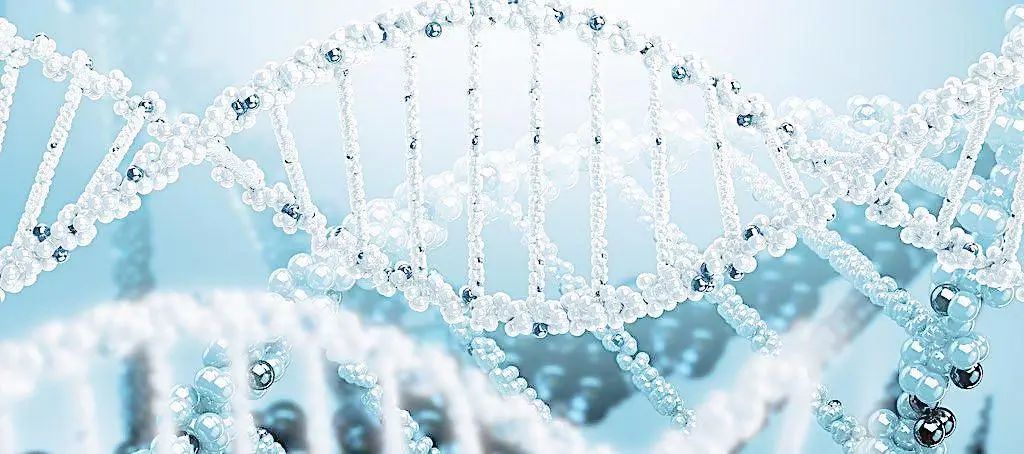 警惕：这些老年专家骗子！经常在各大电视台露脸429 / 作者:雨云儿 / 帖子ID:272627