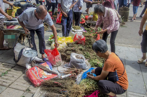 恭城端午药市节来啦！赶药市、看龙狮、包粽子、仲夏狂欢夜，给你不一样的节日氛围！437 / 作者:恭城520小奈姐姐 / 帖子ID:272661