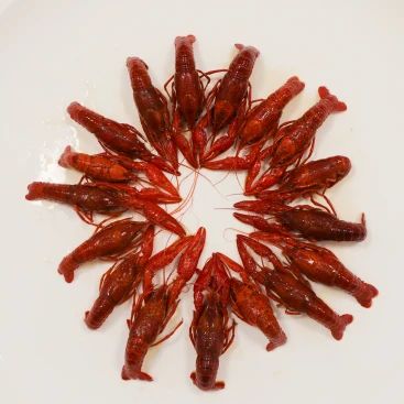 吃小龙虾到底胖不胖？我们连麻辣的都算了一下……778 / 作者:華大夫 / 帖子ID:272726