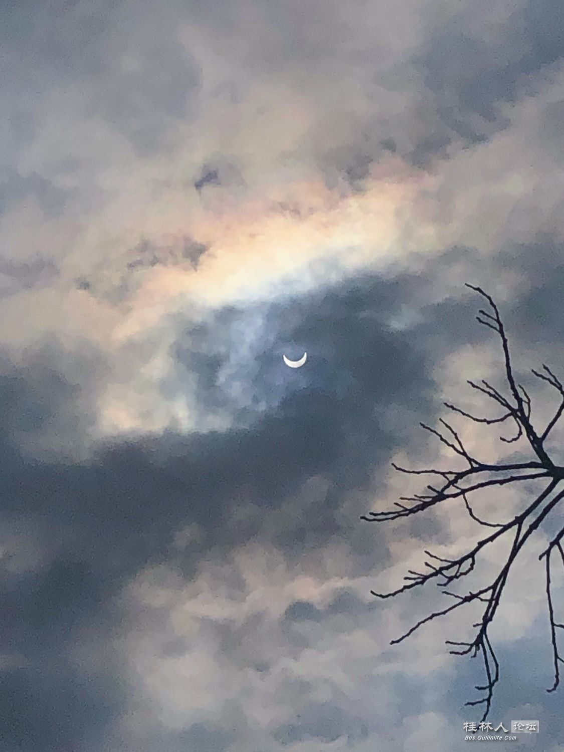 超级日环食，桂林可见月牙美188 / 作者:Killua / 帖子ID:273049