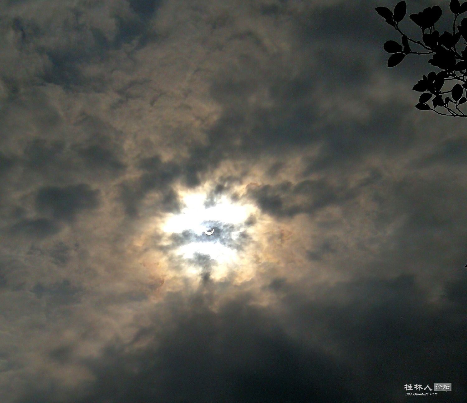 超级日环食，桂林可见月牙美230 / 作者:Killua / 帖子ID:273049